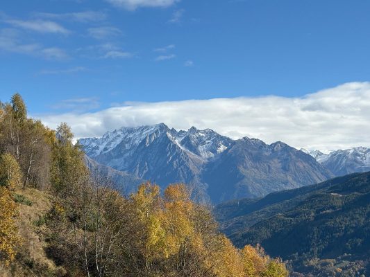 WhatsApp Image 2025-12-04 at 19.20.25 (2)